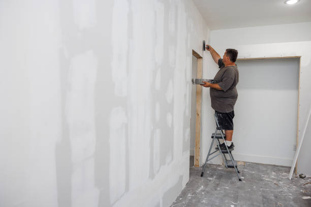 Best Drywall Texturing  in Fort Wayne, IN